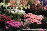 We Send Flowers 1090777 Image 0